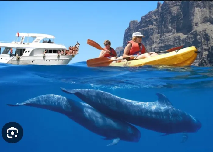 Balcon Del Mar 公寓 *